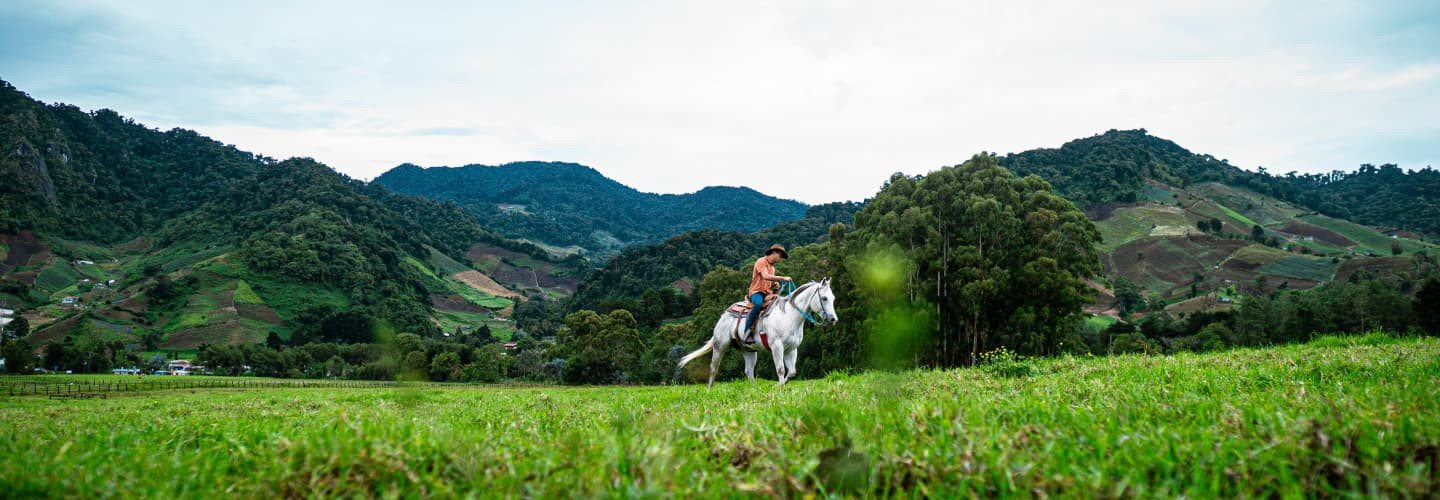 Banner Tierras Altas